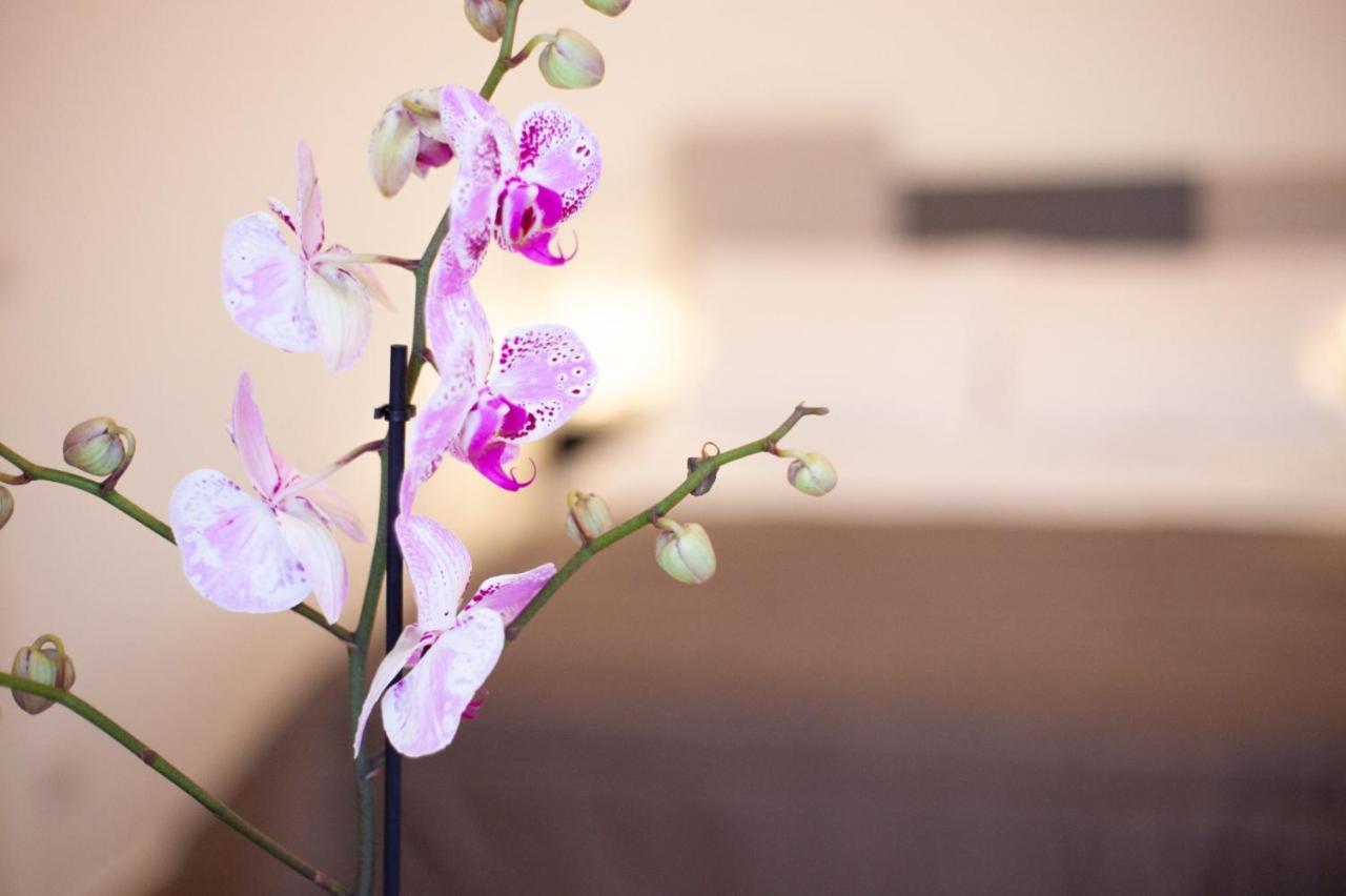 Casapaola B&B Rooms Acireale Buitenkant foto